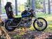 1996 Harley-Davidson Sportster Custom photo