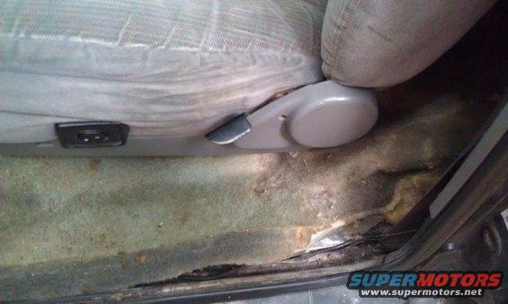 imag1279.jpg faded carpet