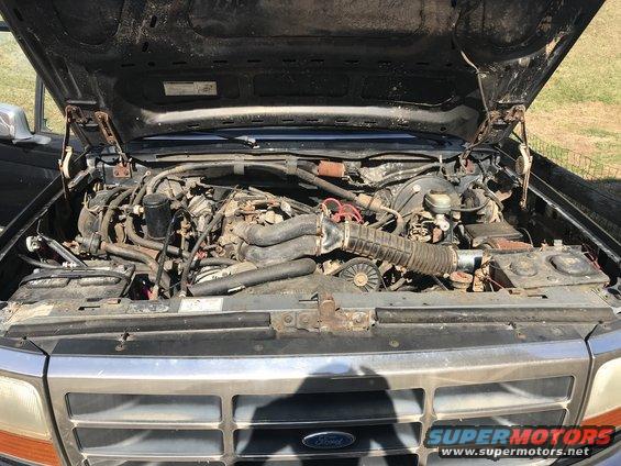 1992 Ford Bronco engine bay with hood open, showing engine components and grille