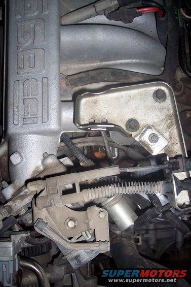 351-teardown-(8).jpg 