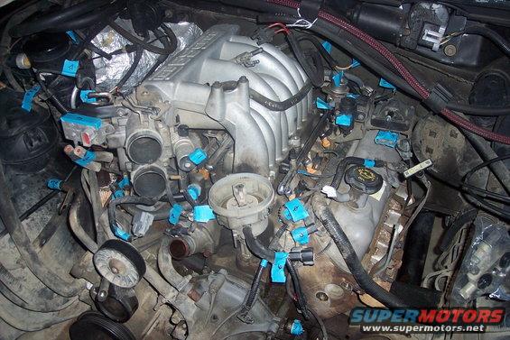 351-teardown-(17).jpg 