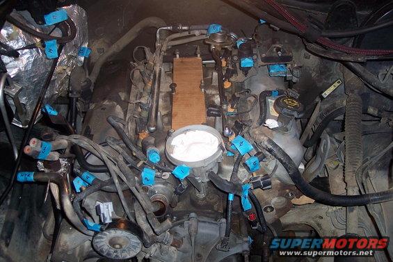 351-teardown-(22).jpg 