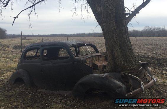 Black car body, heavily rusted and overgrown by a tree, with front end crushed
