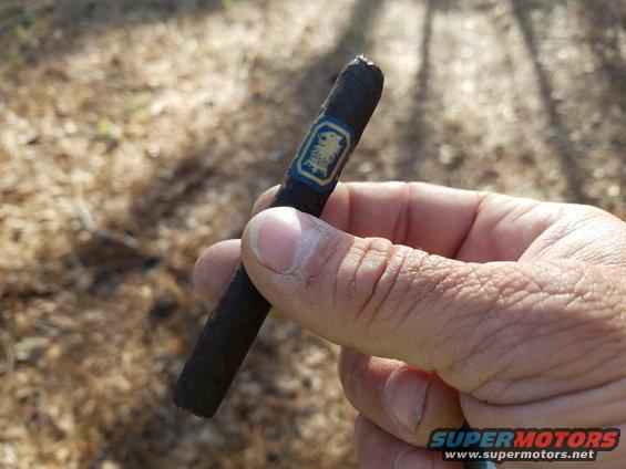 Cigar with a blue and gold band held in a hand