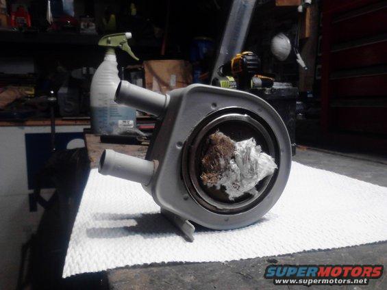 oilcooler-primed-(2).jpg 
