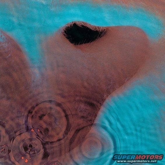 Abstract pattern with blue and brown tones, possibly water ripples