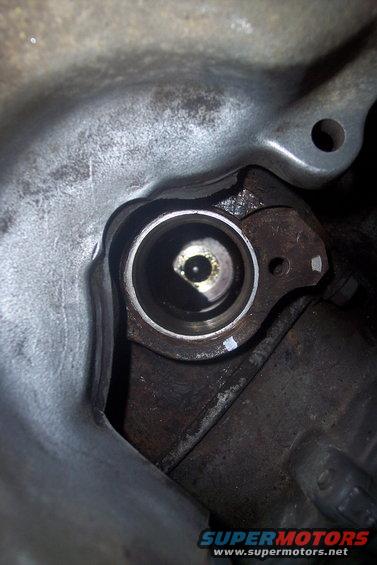 oilpumpprimeprep-(5).jpg 