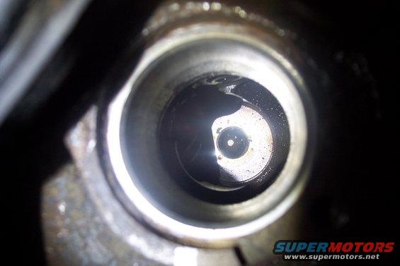 oilpumpprimeprep-(6).jpg 