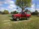 1991 Ford Bronco