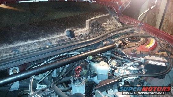 Red car engine bay with a black strut bar across the top and various hoses and components visible
