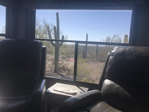 view of saguaro cacti and desert scrub through a window, with two leather chairs in the foreground