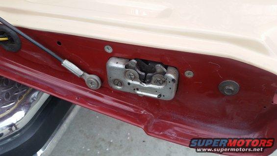 1983-on tailgate