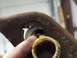 1995 Ford F-150 - Fortunately, this one hasn't worn into the steel box yet, so all it needs is a replacement (tight) bushing. New replacement bushing kits ([…