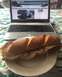 sammich.jpeg