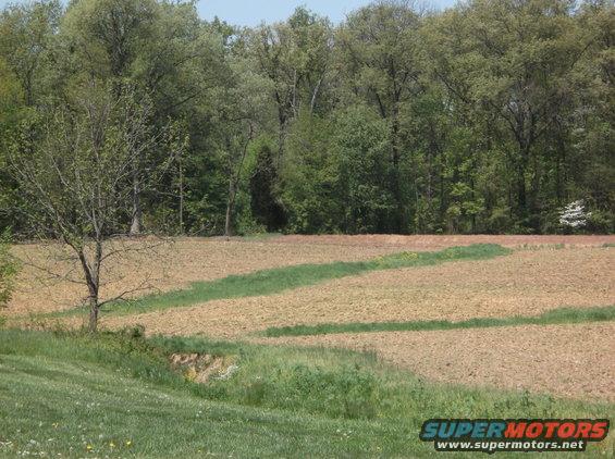 Farm field with tilled soil and green grass, bordered by trees