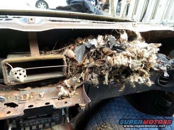 Damaged car dashboard filled with leaves, insulation, and debris, showing a Jensen radio