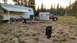 1995 Peterbilt 379 photo