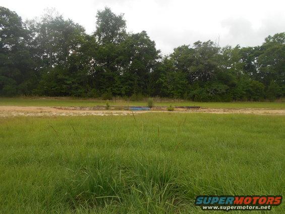 Grassy field with trees and a dirt path
