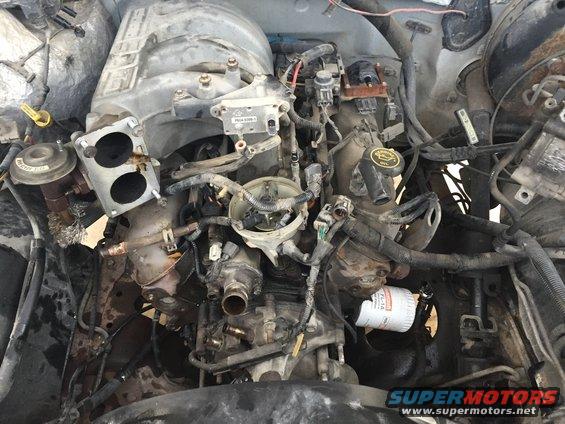 Engine bay showing V8 engine components, including intake manifold, distributor, and oil filter. Ford logo visible on oil cap