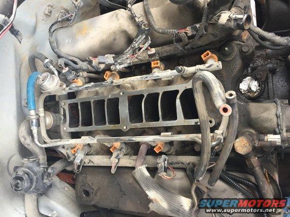 Engine fuel rail and intake manifold with injectors visible