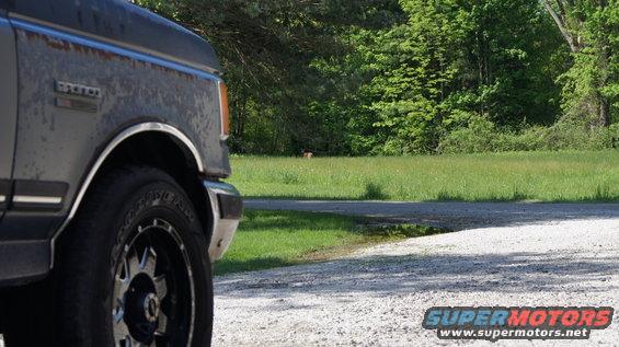 Gray 1987 Ford Bronco front fender and wheel