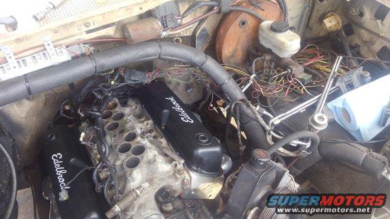 kimg0190.jpg ordered some cheap Edelbrock valve covers to clear the roller rockers. got the lower intake mounted