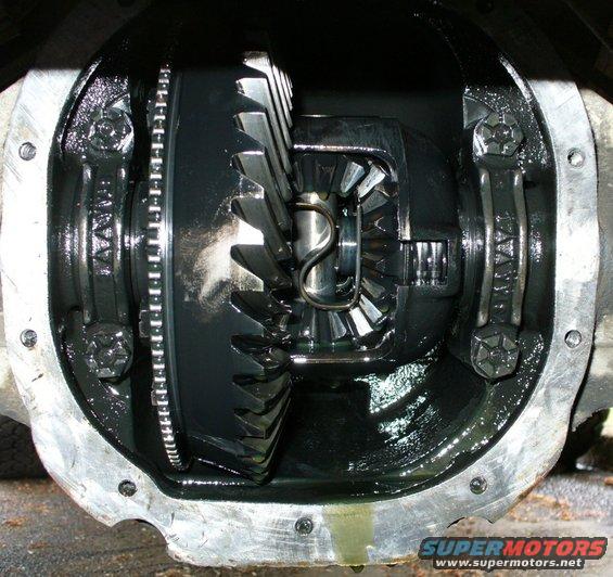 p1040688--rear-diff.jpg 