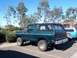 1979 Ford Bronco - my truck