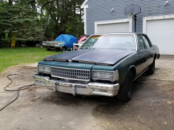 20180601_115401.jpg 