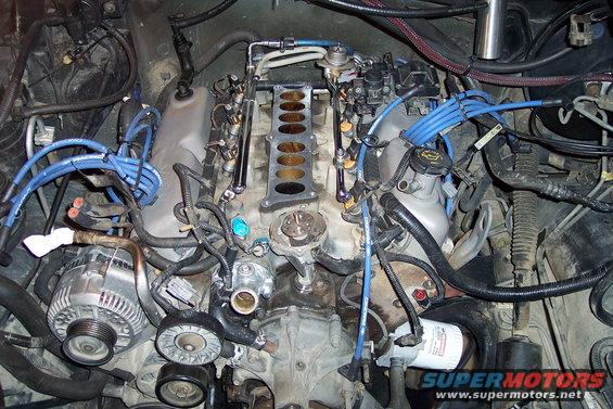 blown_teardown-(4).jpg 