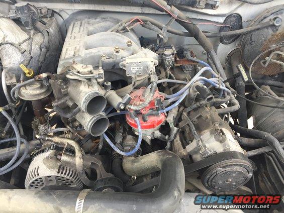 Engine bay with distributor, alternator, and intake manifold
