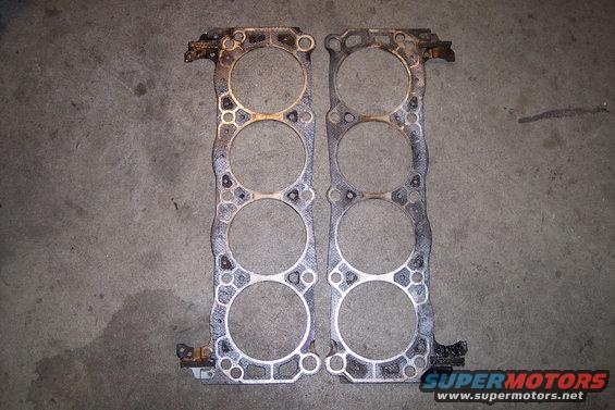head_gaskets-(2).jpg 