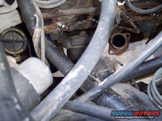 Engine bay detail showing exhaust manifold, spark plugs, and hoses. Power steering fluid cap visible