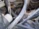 1990 Ford Bronco - Close-up view of engine components, including spark plugs and exhaust manifold, with visible hoses and fluid cap.