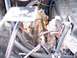 1990 Ford Bronco - A detailed view of various engine components and wiring harnesses within the engine bay.