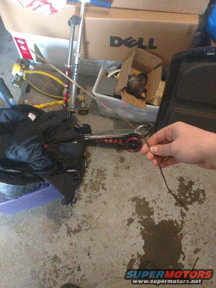 jpeg_20180512_120451.jpg