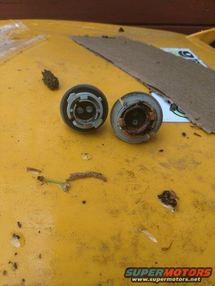jpeg_20180512_142116.jpg