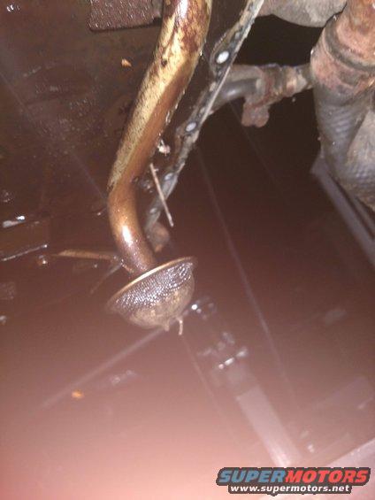 jpeg_20180512_225125.jpg
