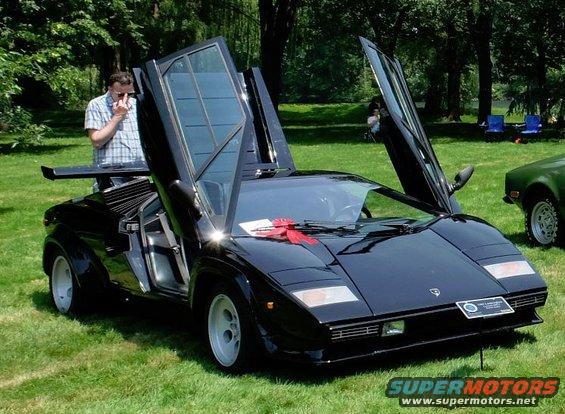 Black Lamborghini Countach with doors up, parked on grass. Guy in plaid shirt stands nearby