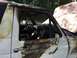 1990 Ford Bronco photo
