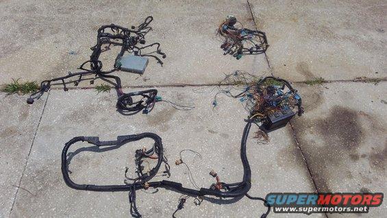kimg0237.jpg start of the rewiring part of the project. have been dreading this part.

top right small harness is a 90 F-series. it is the firewall connector that will connect to the trucks original in-cab harness. any additional wires will go into a separate aftermarket firewall connector

the top left harness is the 96 Explorer 5.0 engine harness. this is what actually controls the engine and trans.

the bottom harness is the front chassis harness from a 95 F-series. this will provide a power distribution box with several relays and many fuses allowing a better wiring setup. the rest of the harness mostly runs the same way as the original 90 harness with only a few changes and a few upgrades