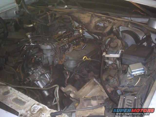 pict0015.jpg 