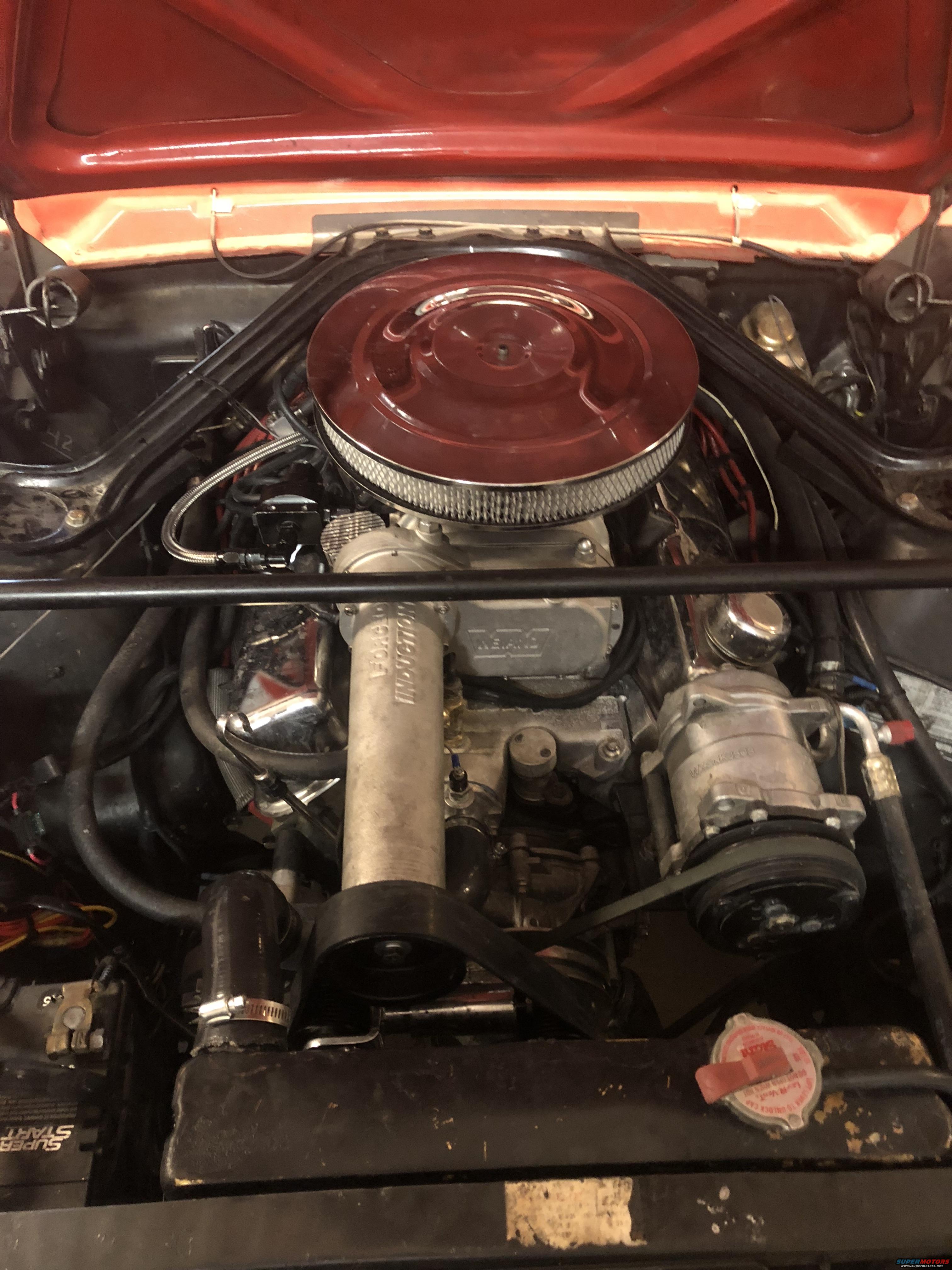 1965 Ford Mustang photo