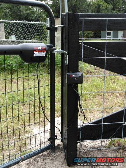 fence-5.jpg