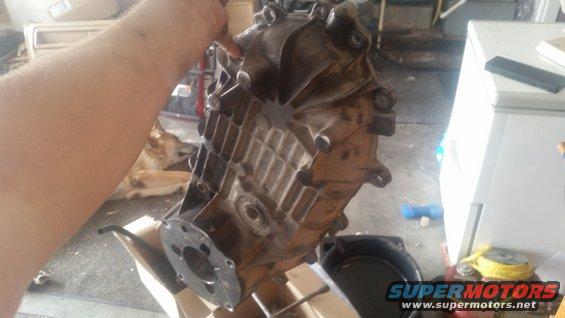 Person holding a dirty transfer case, dog in background