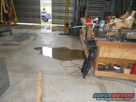 Purple golf cart seen through open garage doors