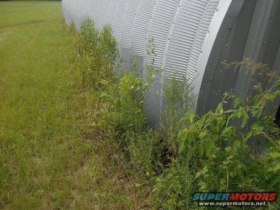 Overgrown grass and weeds obscure the base of a corrugated metal structure