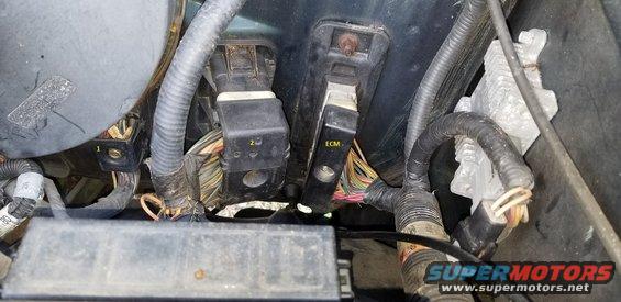 bronc-under-hoodmain-electrical-connections-labeled.jpg 