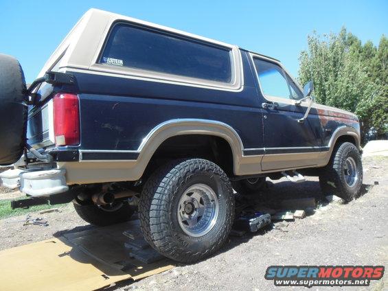 rear lift is in, stinkbug style!
