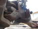 DSCN5849.JPG